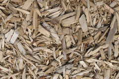 biomass boilers Chequerbent